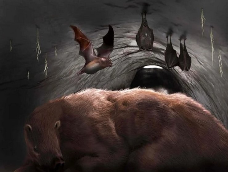 Гигантский ленивец