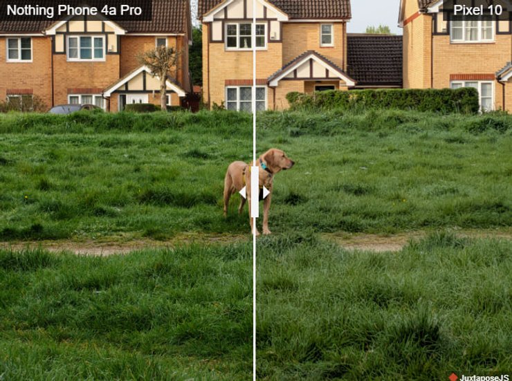 Фото с 3,5-кратным увеличением на Phone 4a Pro и Pixel 10