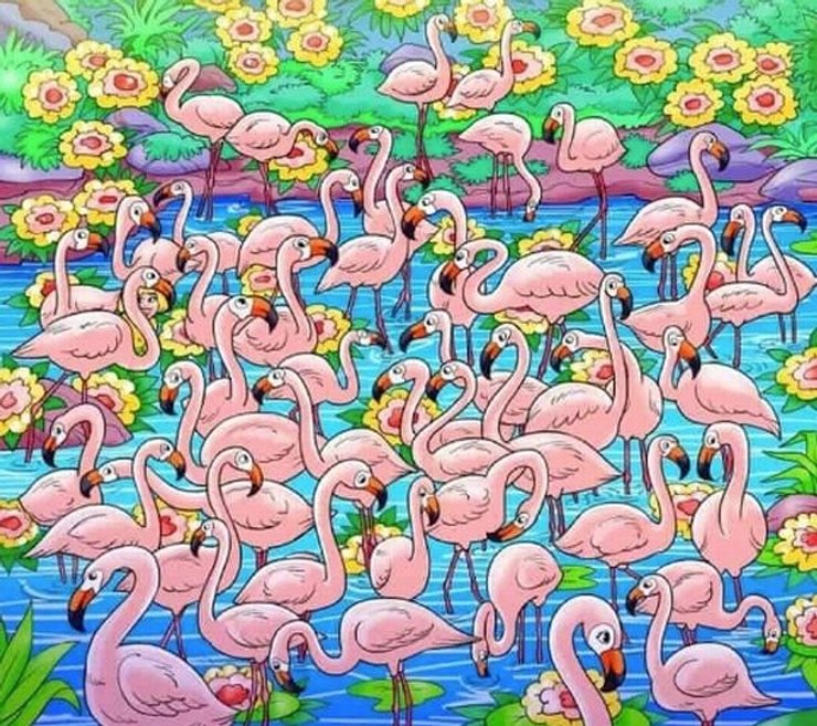 Визуальная головоломка, оптическая иллюзия, тест, проверка зрения, тренировка памяти, фламинго, девочка среди фламинго, желтые волосы