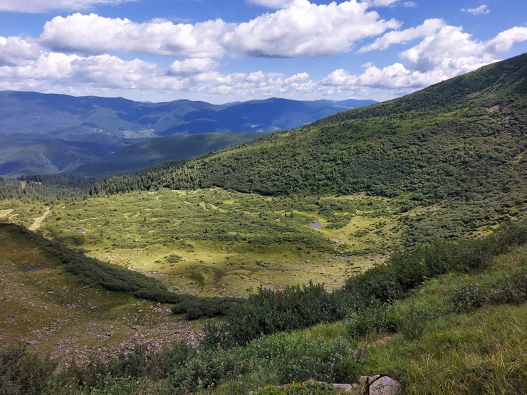 карпаты экосистема, вырубка лес карпаты