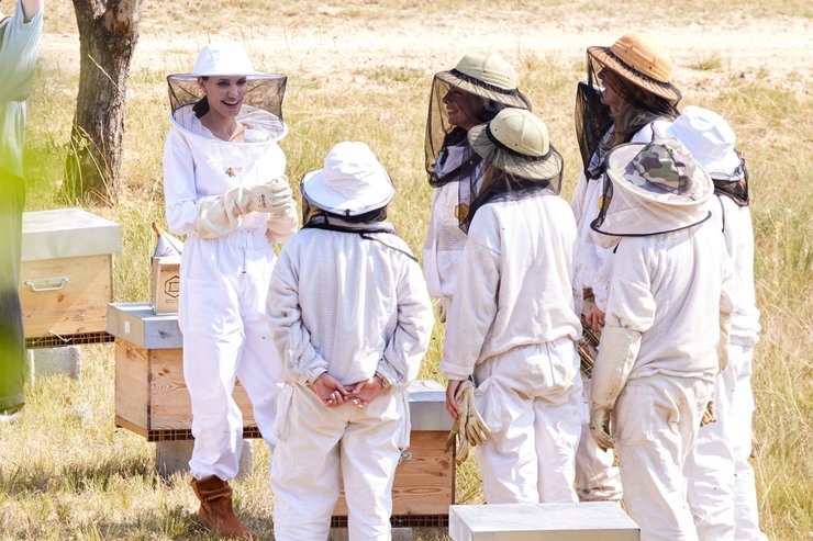 Women for Bees, анджелина джоли