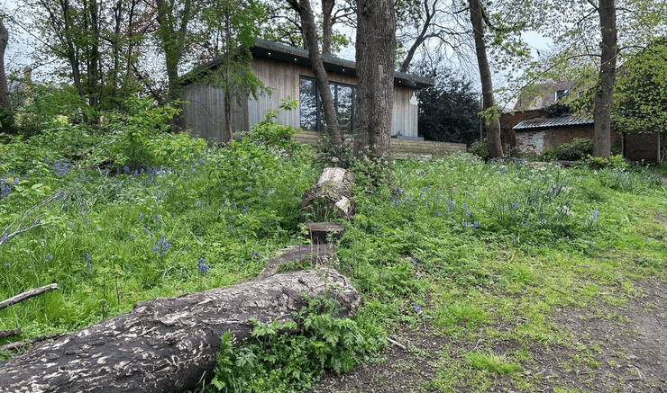 Бирмингем, парк в городе, секретный парк, парк с озером, место для отдыха, зеленый парк, зеленая зона, улица, тайный проход