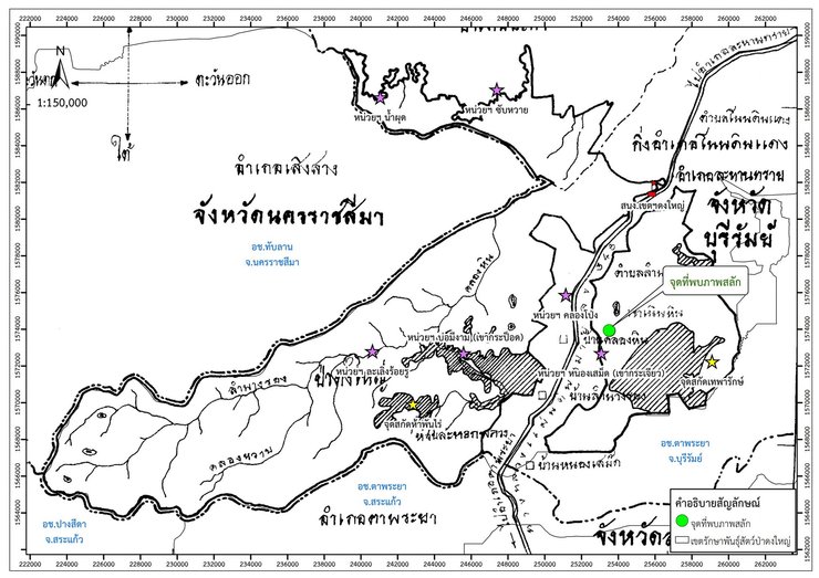 статуя, скульптура, Будда, лес, Таиланд, находка, ученые, исследователи, женщина, Таиланд, искусство, село, крестьяне, грибники, изображение, буддизм