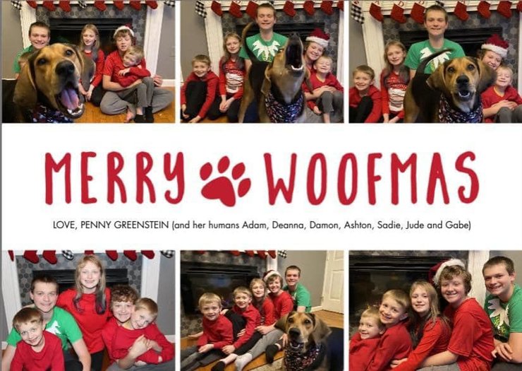 рождественская открытка