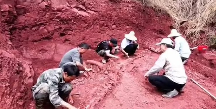 динозавр, розкопки, кістки