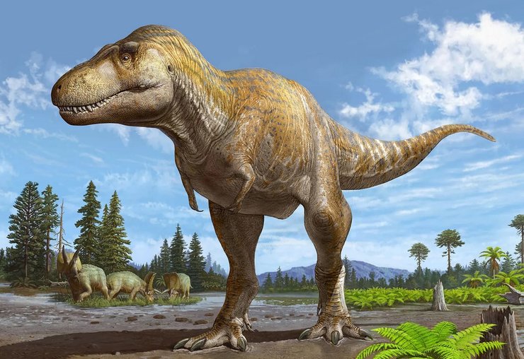 Tyrannosaurus mcraeensis, тираннозавр