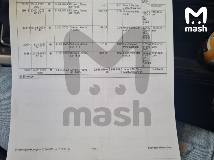 Ракунок Дірксен від страхової компанії