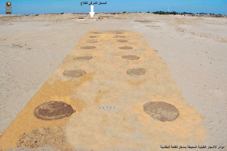 раскопки ямы пустыня история археология история археология