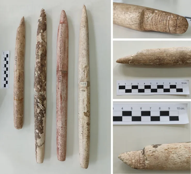 яким гарпуном полювали на китів