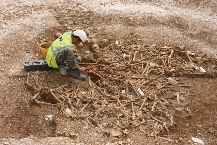 кістки, вікінги, масове поховання
