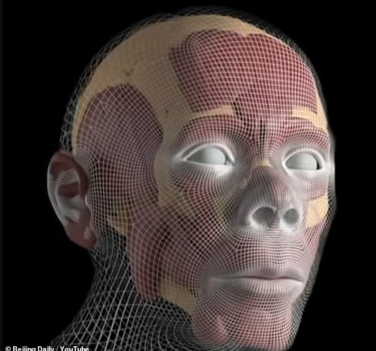 археология, древние люди, исследование, череп, реконструкция