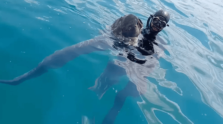 Озеро Гарда, гігантські соми, риби-монстри, екологічна загроза в Італії, підводне полювання, рекордний вилов риби