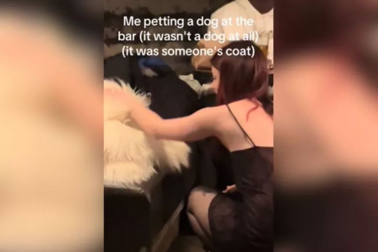 Собака оказалась белым пальто, курьезная история в баре, приколы, странные случаи из жизни, смешные инциденты