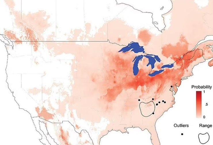 пауки дзеро сша вторжение