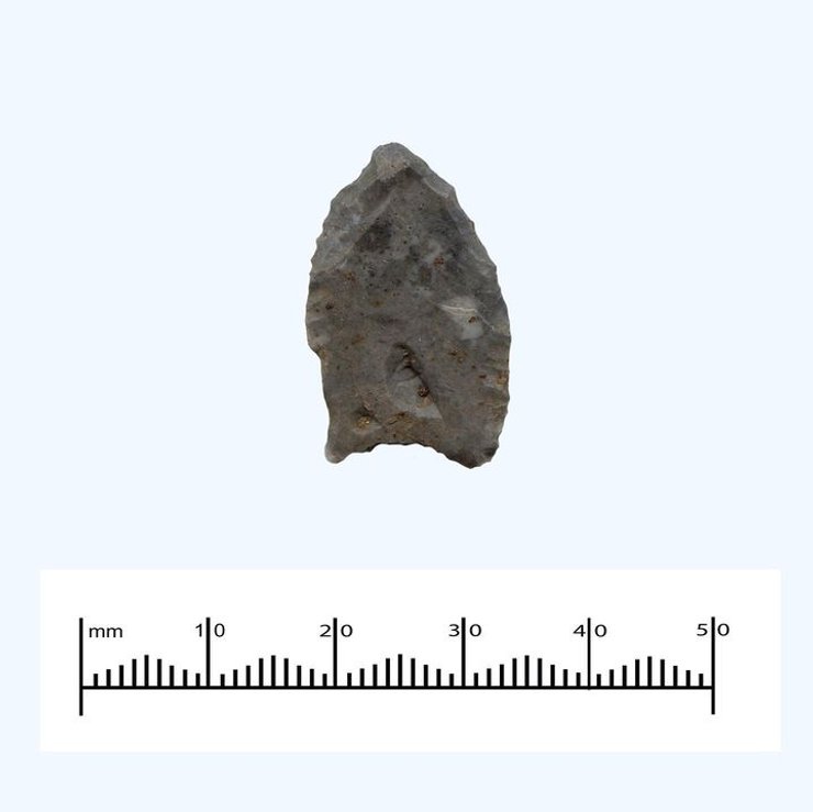 каменные орудия, археология, древние люди, орудия труда, находка