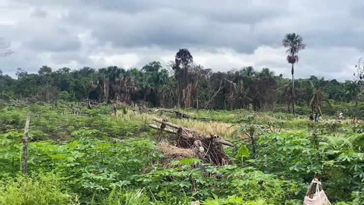інопланетяни, напад інопланетян, атака інопланетян, загадкові напади, таємничі напади, Перу, Сан-Антоніо-де-Пінтуяку, Тімоті Альберіно