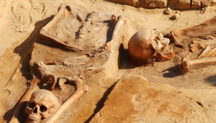 вампиры, польша, захоронение, могила вампира, могила вампиров