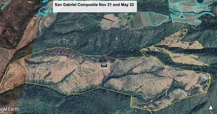 ліс мексика 2021-22