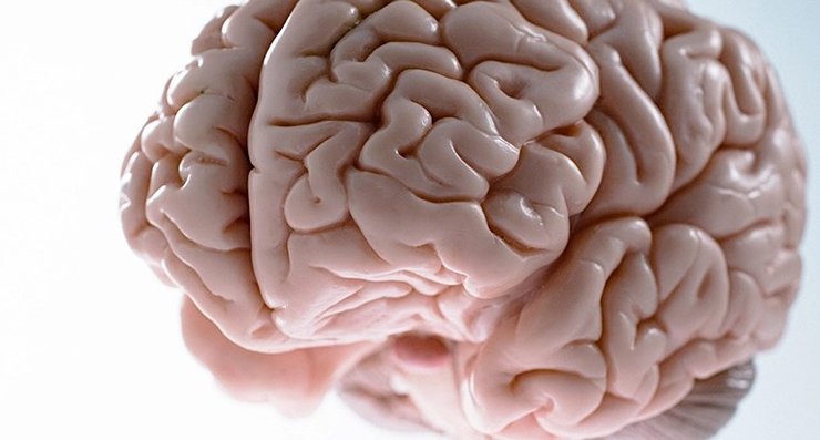 мозг, воскрешение, крионика, замораживание людей, заморозка тела, бессмертие, криоконсервация, криосохранение