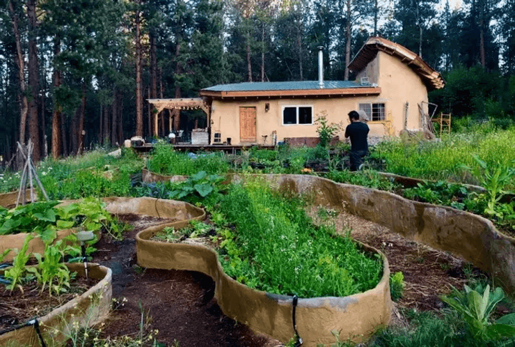 Будинок із природних матеріалів, глиняний будинок, дешеве житло, побудували будинок із глини та соломи, заснували компанію, вчать людей