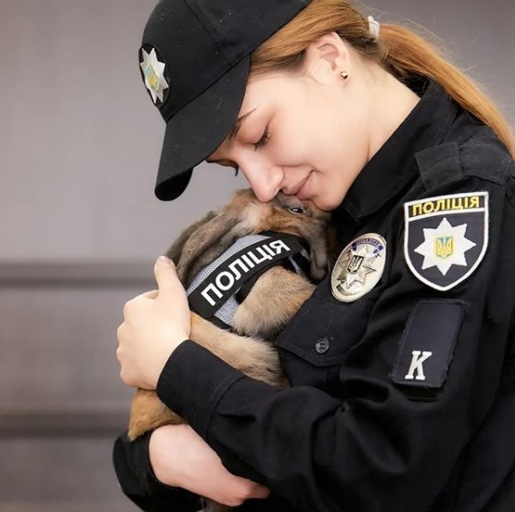 кролик, полиция, Днепр, кролик-полицейский