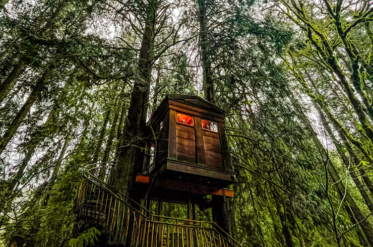 Домики на дереве в США, отель Treehouse Point, домики посреди леса, интерьеры, уникальные локации, путешествия, туризм