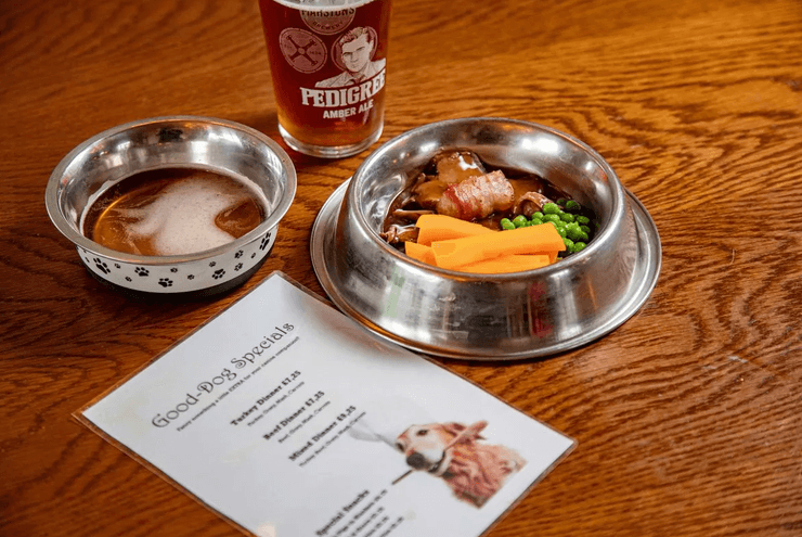 паб для собак