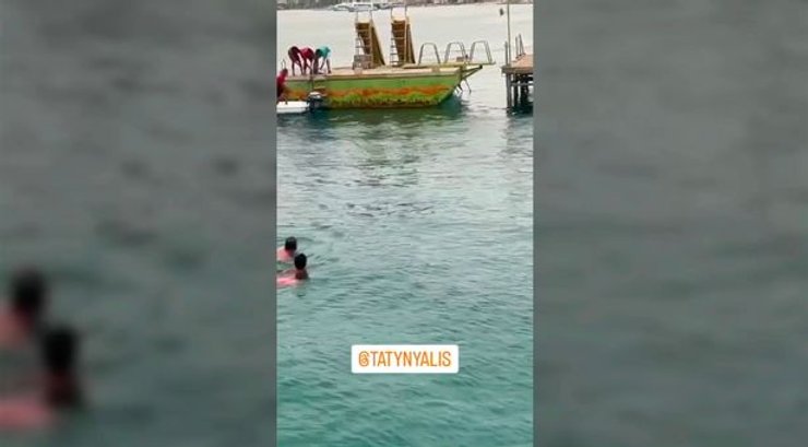 Нападение акулы снимали на камеру, Случаи нападений акул, акула съела человека, акула напала 2023, акула нападения, акулы в Египте,