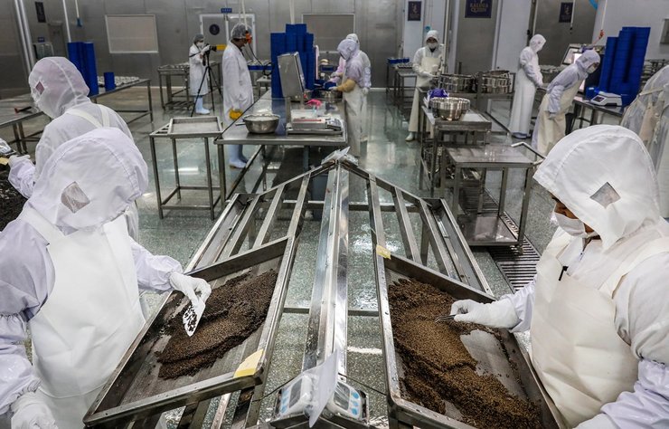 китай, калуга квин, икра осетровых, черная икра