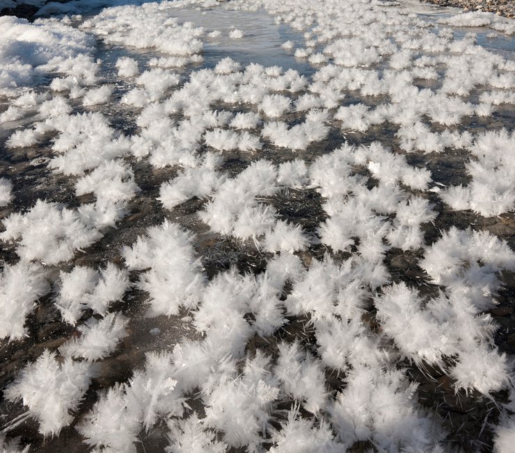 ледяные цветы, река Стоход, Волынь, чудеса природы, красивые фото природы