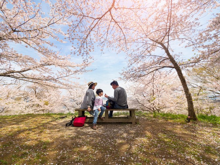 фото, Сюмбун-но хи, Япония, праздник равноденствия
