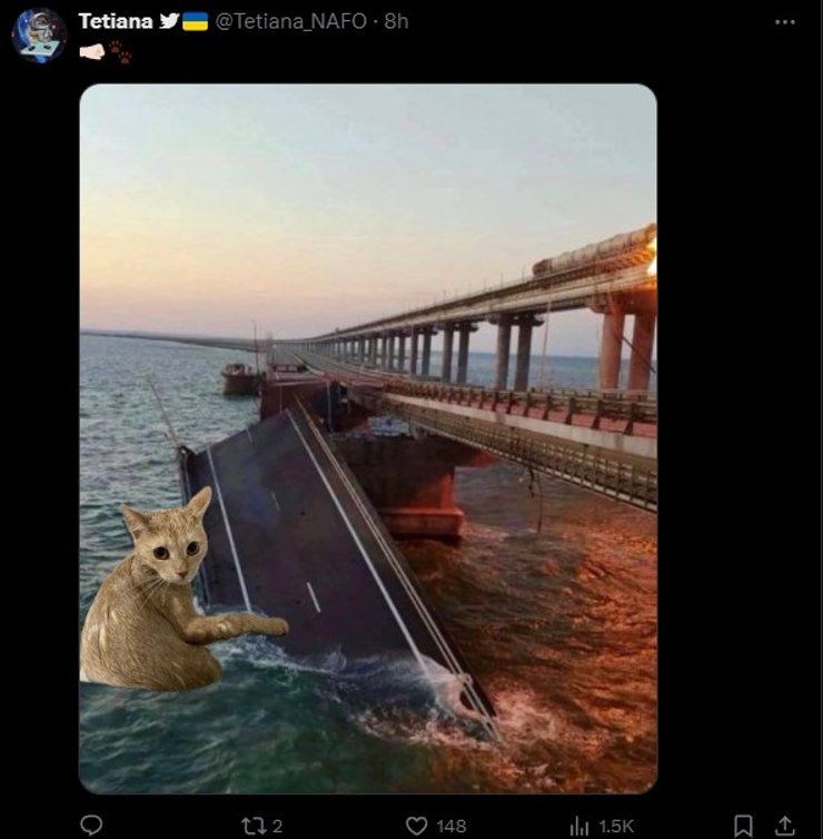 Рыжий кот, мем, фото