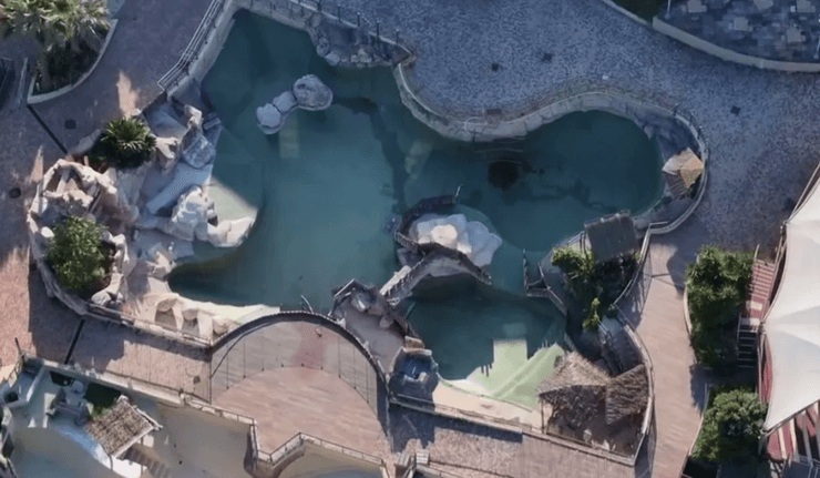 Заброшенный аквапарк, косатки в неволе, закрытие морского парка, переселение морских животных, запрет морских шоу