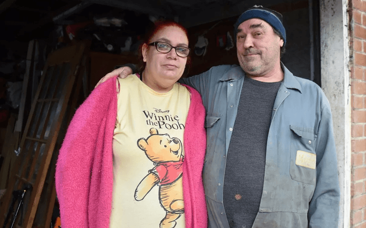 Свині влаштували хаос у селі, свині втекли з ферми, банда свиней, свині псують майно, жителі в паніці, свині псують ділянки