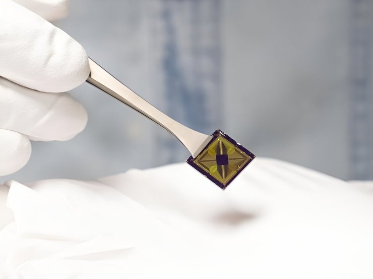 электронный язык, искусственный интеллект, вкусовые рецепторы