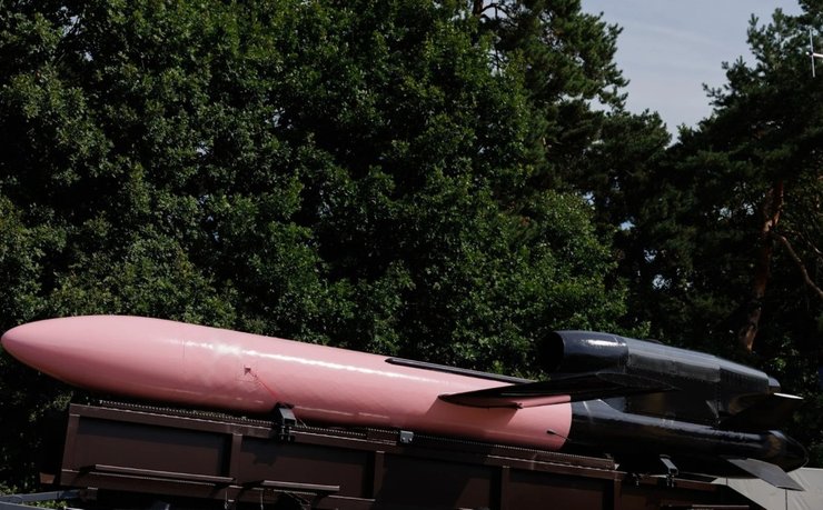 Розовая ракета "Фламинго" перед испытанием на полигоне