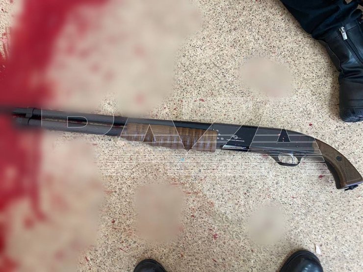 стрельба, школа, Россия, Брянск, восьмиклассница, оружие