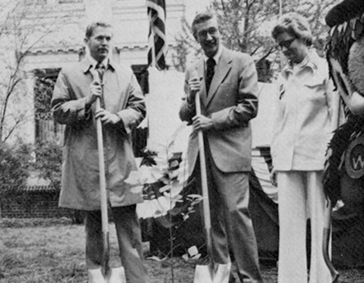 місячні дерева