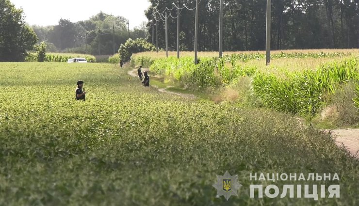 полтавский террорист, лес