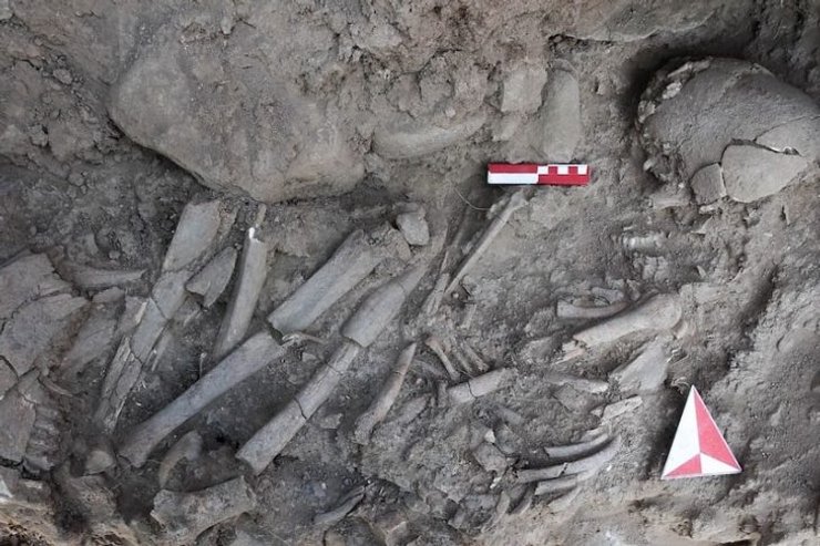 шаманка, женщина, захоронение, кости, череп, исследования, археологи, археология, способность, здание, останки, останки, ритуал, жизнь, культура, общество, неолит, животное, Чемка Хююк, Турция