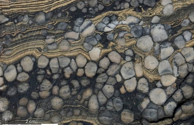 родовище ядариту