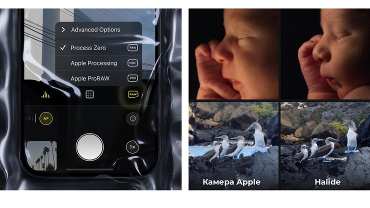 Приложение Halide iPhone Приложение Halide iPhone камера скачать