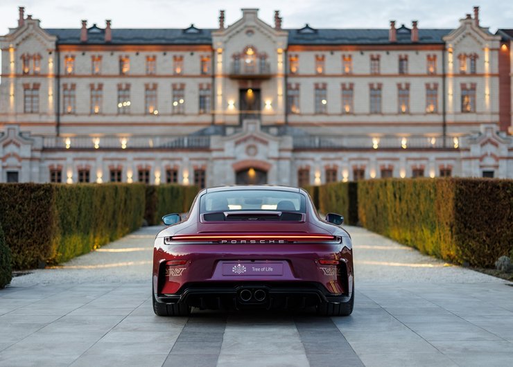 Porsche 911 Tree of Lifeсалон
