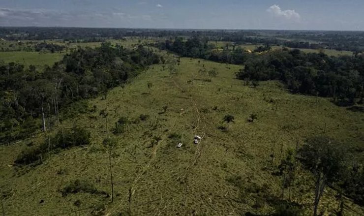 леса Амазонки