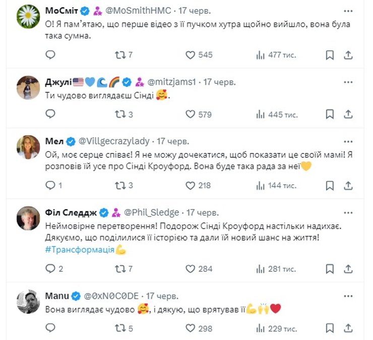 Порятунок собак, порятунок тварин, зоозахисник, лікування собаки