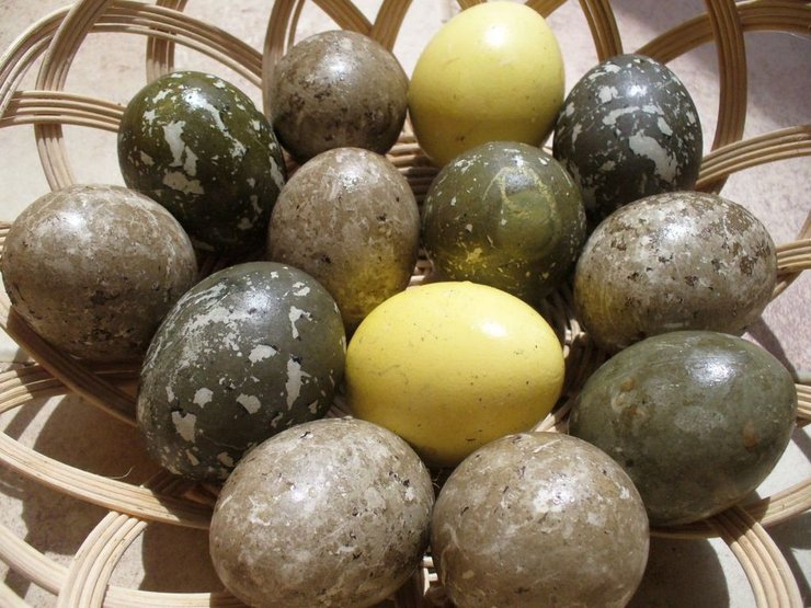 фото, праздник Шам-эль-Нессим, египетские крашенки