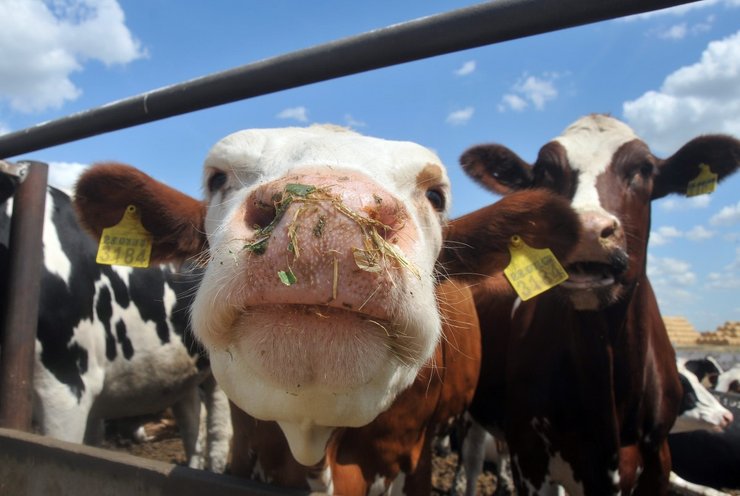 Инфляция будет расти в ближайшие месяцы из-за увеличения производственных затрат предприятий