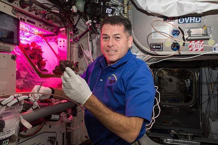 nasa, салат, мкс, астронавты, космонавты, космос