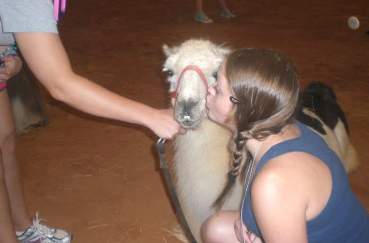 Лама с детьми