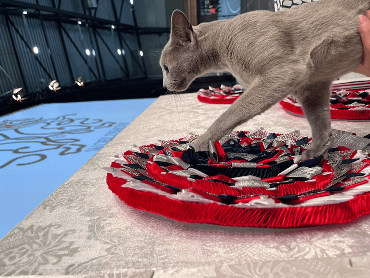 кот Бакарди